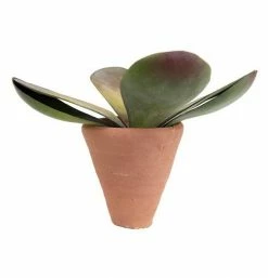 Vintage ALL POTTERY Cone Terra Cotta Pot