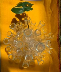 Vintage Glass Cluster Propagation Vase Set