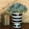 Feng Sway Indigo Stripe Chalice Planter