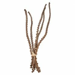 Feng Sway DRIED FLORALS + FEATHERS Dried Banana Stem Bunch