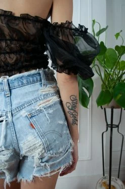 Feng Sway Black Organza Peasant Top