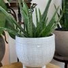 Feng Sway White Stoneware Footed Pot