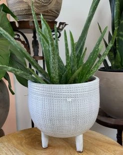 Feng Sway White Stoneware Footed Pot