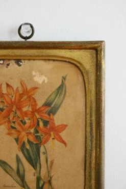 FENG SWAY Borghese Floral Art Painting