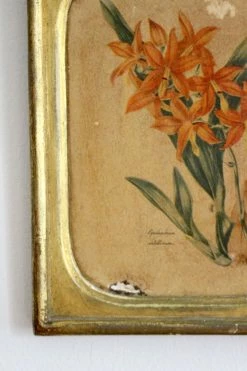FENG SWAY Borghese Floral Art Painting
