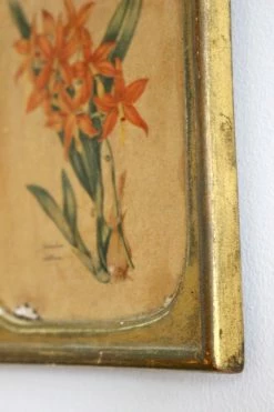 FENG SWAY Borghese Floral Art Painting