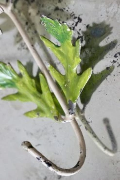 Feng Sway Antique Italian Daisy Hook ALL HOME DECOR + ODDITIES