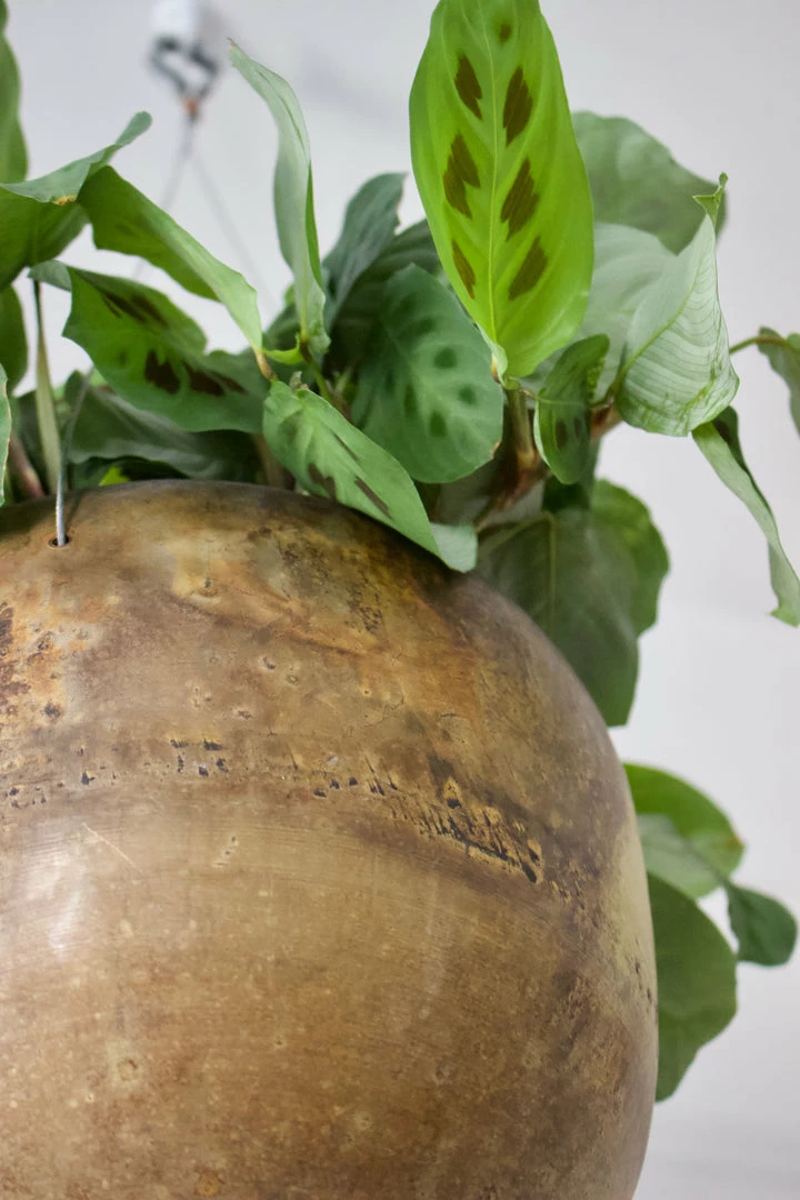 Feng Sway MCM Brass Hanging Planter 6 Feng Sway MCM Brass Hanging Planter