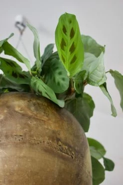 Feng Sway MCM Brass Hanging Planter 13 Feng Sway MCM Brass Hanging Planter