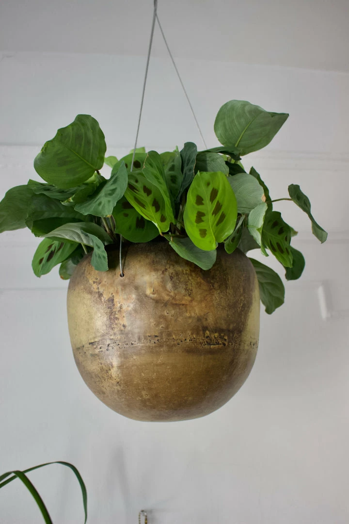 Feng Sway MCM Brass Hanging Planter 4 Feng Sway MCM Brass Hanging Planter