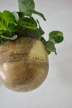 Feng Sway MCM Brass Hanging Planter 10 Feng Sway MCM Brass Hanging Planter