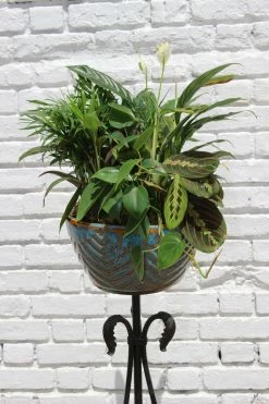 FENG SWAY ALL GARDEN Antique Black Iron Clawfoot Pedestal