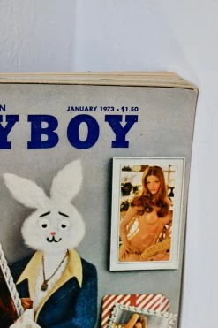 ALL HOME DECOR + ODDITIES Vintage Playboy Magazine