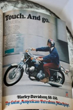 ALL HOME DECOR + ODDITIES Vintage Playboy Magazine