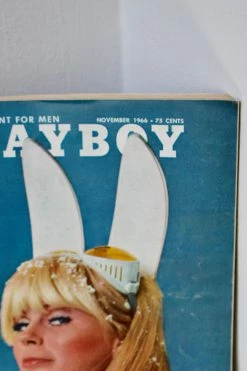 ALL HOME DECOR + ODDITIES Vintage Playboy Magazine