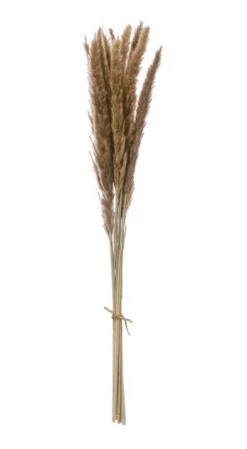 Feng Sway Pampas Grass Bundles DRIED FLORALS + FEATHERS