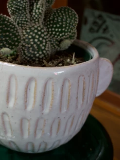 Feng Sway Exclusive 6-7