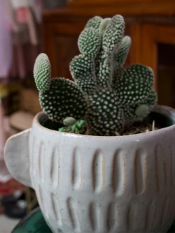 Feng Sway Exclusive 6-7