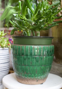 Feng Sway Green Tile Pot 4-5