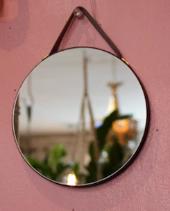 Feng Sway ALL HOME DECOR + ODDITIES Petite Velvet Hanging Mirrors