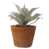 Feng Sway Exclusive Faux Succulent