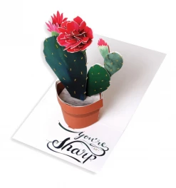 DEAR ALCHEMY Christmas Cacti Greeting Card CARDS