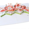 DEAR ALCHEMY Go Wild Flamingo Pop Up Greeting Card CARDS