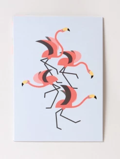 DEAR ALCHEMY Go Wild Flamingo Pop Up Greeting Card CARDS