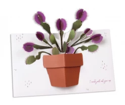 DEAR ALCHEMY Flirty Venus Fly Trap Pop Up Greeting Card