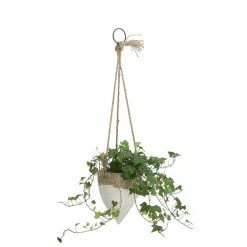 Feng Sway Dipped Cone Hanging Planter 6-7" POTS