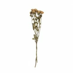 Feng Sway Dried Natural Rose Bunch