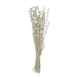 Feng Sway Dried Natural Lion's Tail Bunch DRIED FLORALS + FEATHERS
