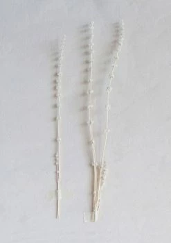 Feng Sway Dried Natural Lion's Tail Bunch DRIED FLORALS + FEATHERS