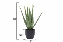 Feng Sway Exclusive FAUX + PRESERVED Faux Aloe Plant