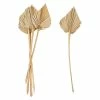 Feng Sway Spear Cut Palm Stem
