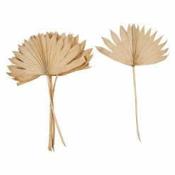 Feng Sway DRIED FLORALS + FEATHERS Sun Cut Palm Stem