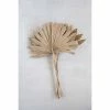 Feng Sway DRIED FLORALS + FEATHERS Sun Cut Palm Stem