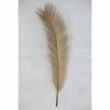 Feng Sway Exclusive DRIED FLORALS + FEATHERS Dried Natural Feather Cut Palm