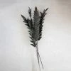 Feng Sway Dried Ginger Flower Pick ~ Black DRIED FLORALS + FEATHERS