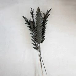 Feng Sway Dried Ginger Flower Pick ~ Black DRIED FLORALS + FEATHERS