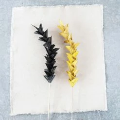 Feng Sway Dried Ginger Flower Pick ~ Black DRIED FLORALS + FEATHERS