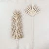 Feng Sway Natural Fern Palm Buri Pick DRIED FLORALS + FEATHERS