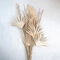 Feng Sway DRIED FLORALS + FEATHERS Lady Finger Palm Pick