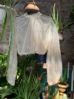 Feng Sway Victorian Style Long Sleeve Mesh Blouse (2 Colors) TOPS