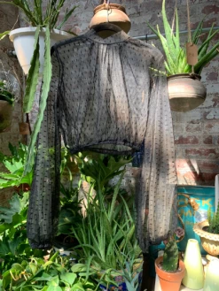 Feng Sway Victorian Style Long Sleeve Mesh Blouse (2 Colors) TOPS