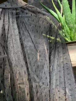 Feng Sway Victorian Style Long Sleeve Mesh Blouse (2 Colors) TOPS