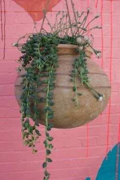FENG SWAY Large Hanging Plant Urn 6-7