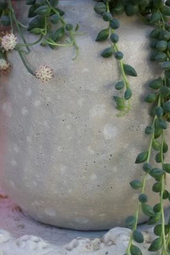 FENG SWAY ALL POTTERY Rounded White Textured Stoneware Pot