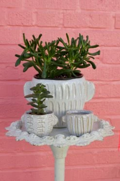 Feng Sway Exclusive 6-7" POTS Ceramic Glazed Pot With Handles