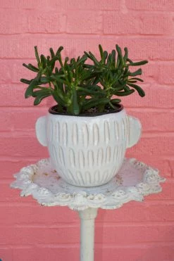 Feng Sway Exclusive 6-7" POTS Ceramic Glazed Pot With Handles